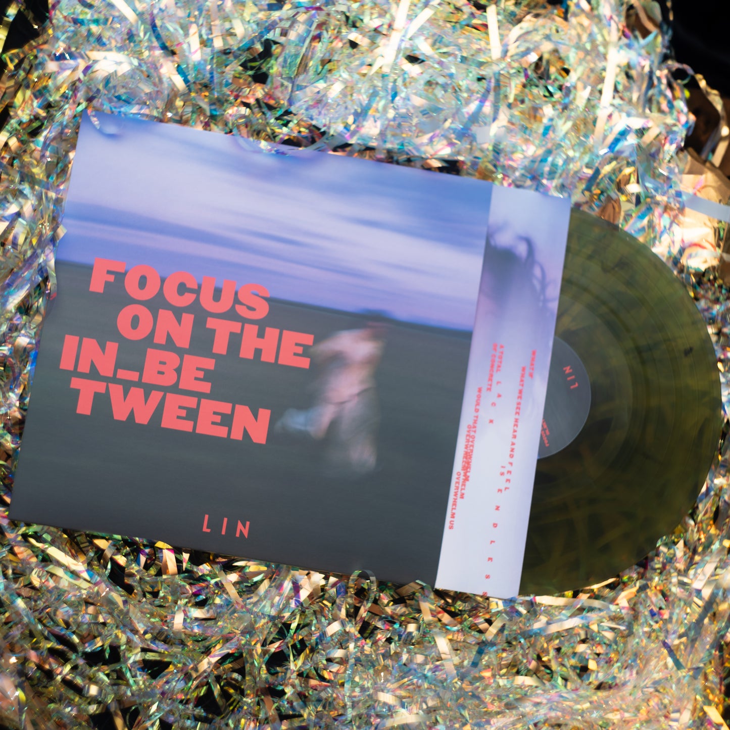Vinyl LP - "Focus On The In_Between"